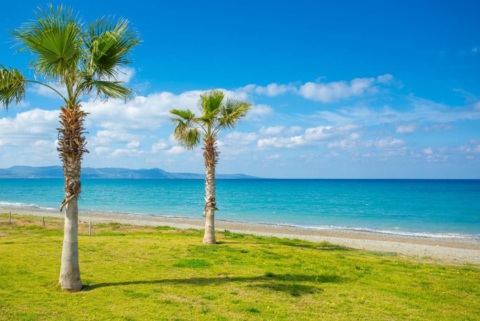 Villa Rose بافوس المظهر الخارجي الصورة